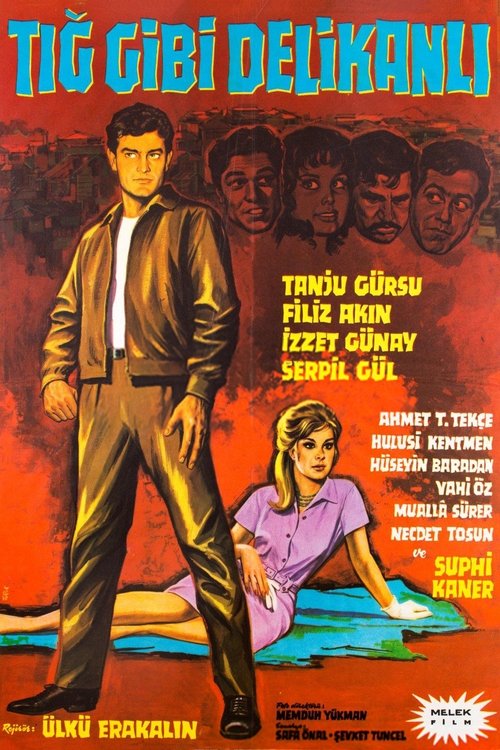 Tığ Gibi Delikanlı Poster