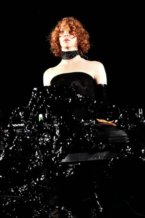 SOPHIE poster 2