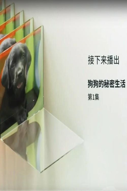 狗狗的秘密生活电影海报