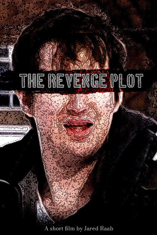 The Revenge Plot Poster