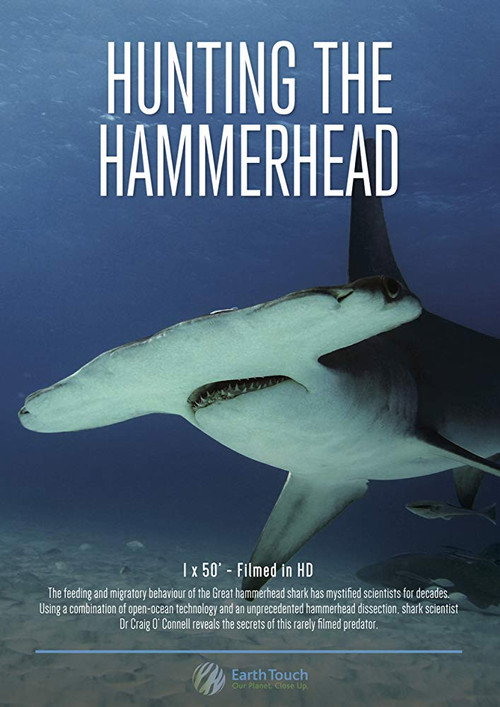 Hunting the Hammerhead (2016) PelículA CompletA 1080p en LATINO espanol Latino