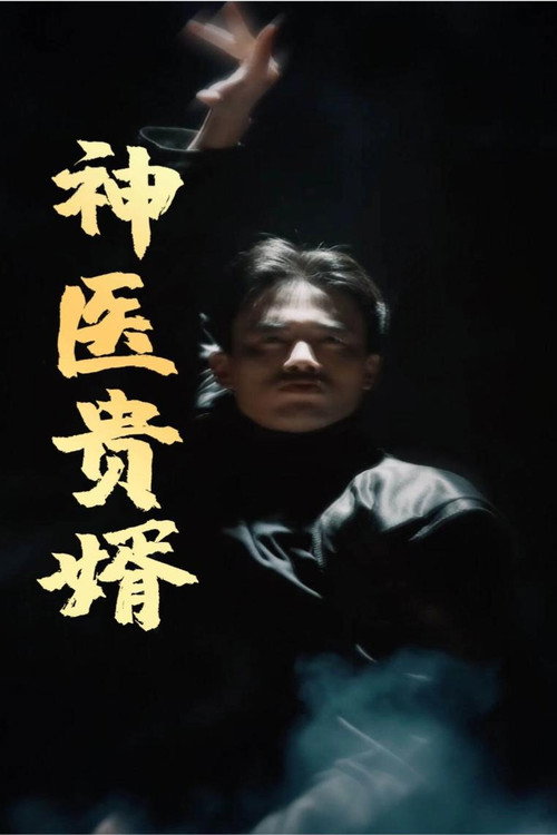 神医贵婿电影海报