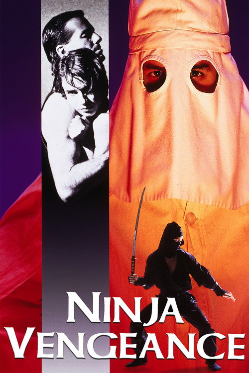 Ninja Vengeance poster 3