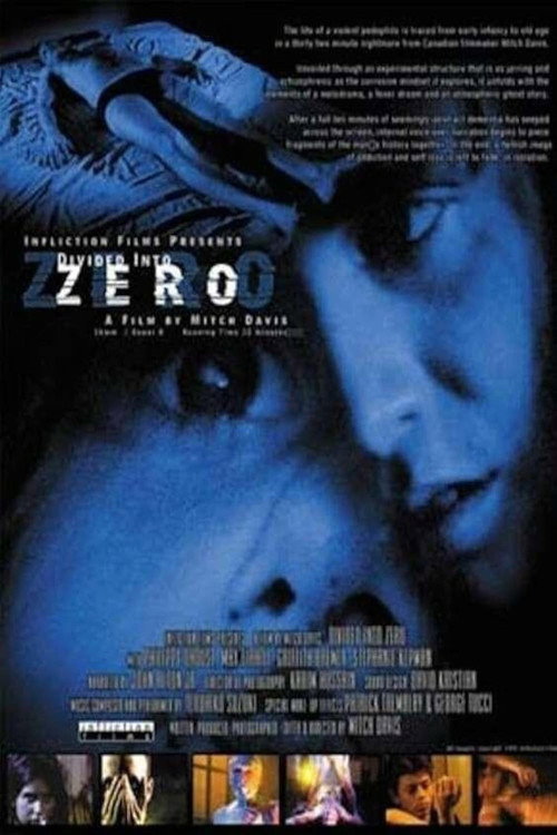 Divided Into Zero poster 2