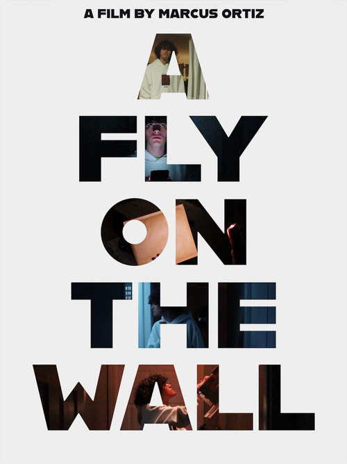 A Fly On The Wall