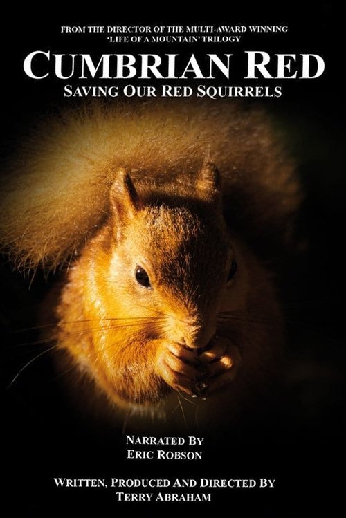 Cumbrian Red: Saving Our Red Squirrels Poster