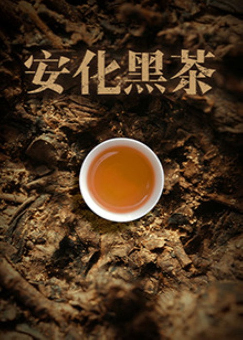 安化黑茶电影海报