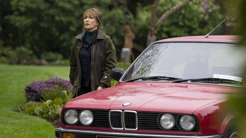 Harry Wild - The Man Who Murdered Himself