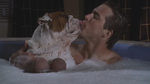 Van Wilder poster watch Van Wilder now