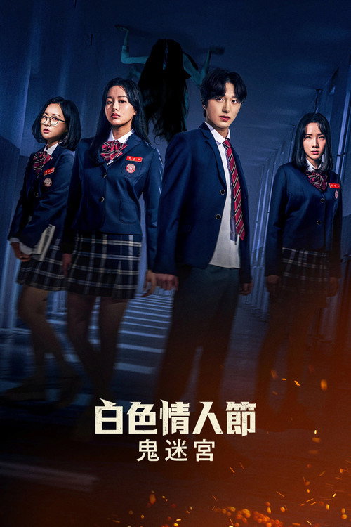 白色情人节：破碎的结界电影海报