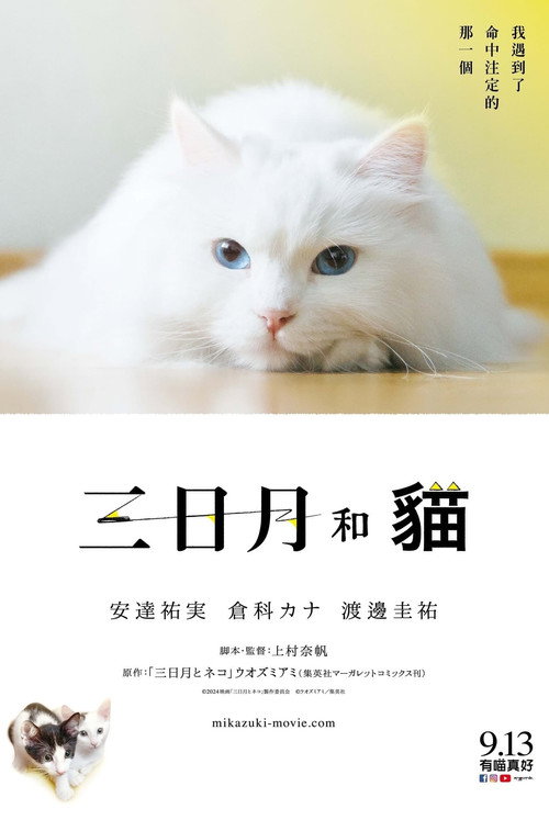 三日月与猫电影海报