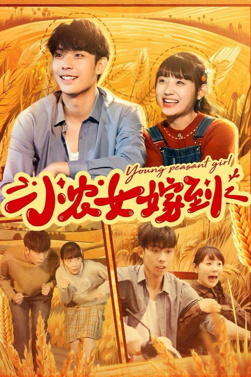 小农女嫁到电影海报