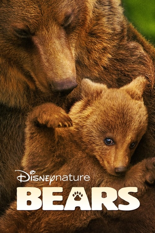 Bears (2014) Phim Full HD Vietsub]