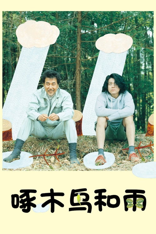啄木鸟和雨电影海报