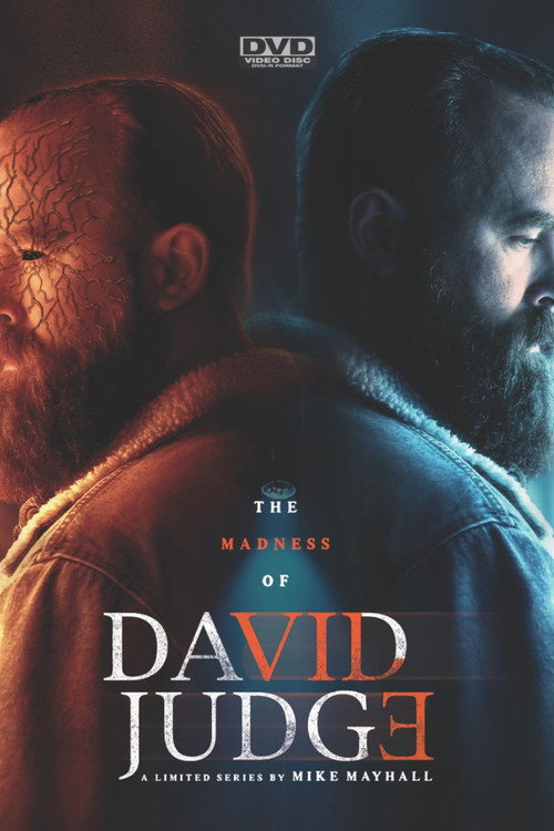 The Madness of David Judge poster 1