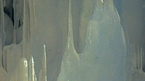 Backdrop