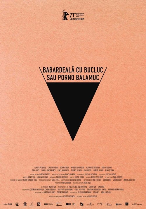 Babardeala cu bucluc sau porno balamuc poster Babardeala cu bucluc sau porno balamuc (2021) Online bästa kvalitet HD