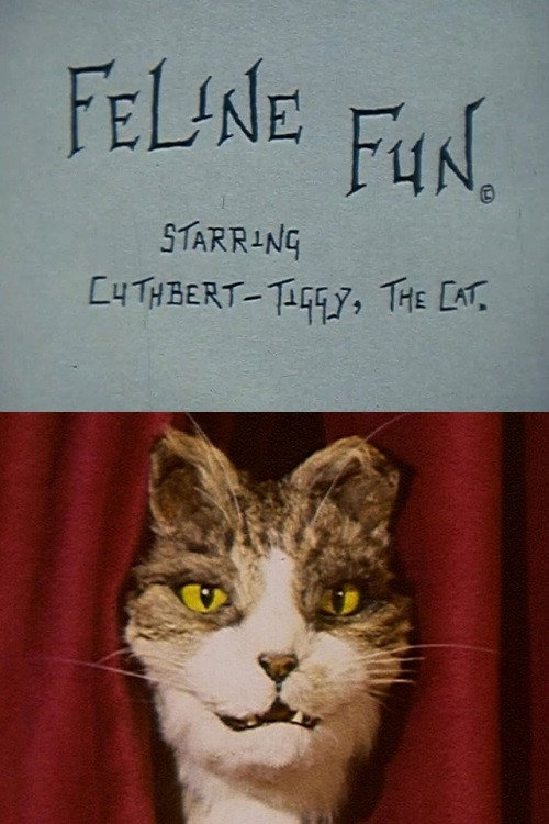 Feline Fun电影海报