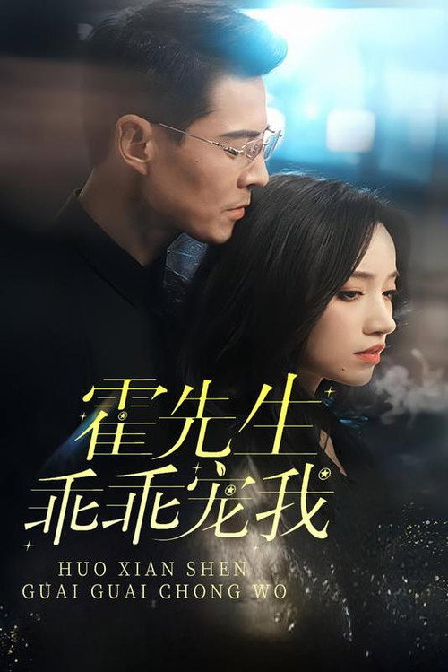 霍先生乖乖宠我电影海报