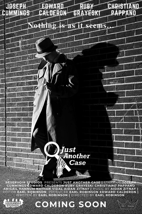 Just Another Case's poster