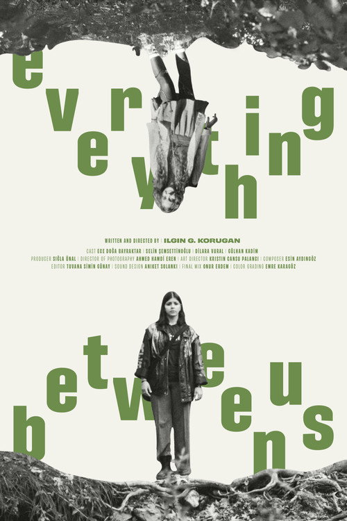 Everything Between Us poster 2