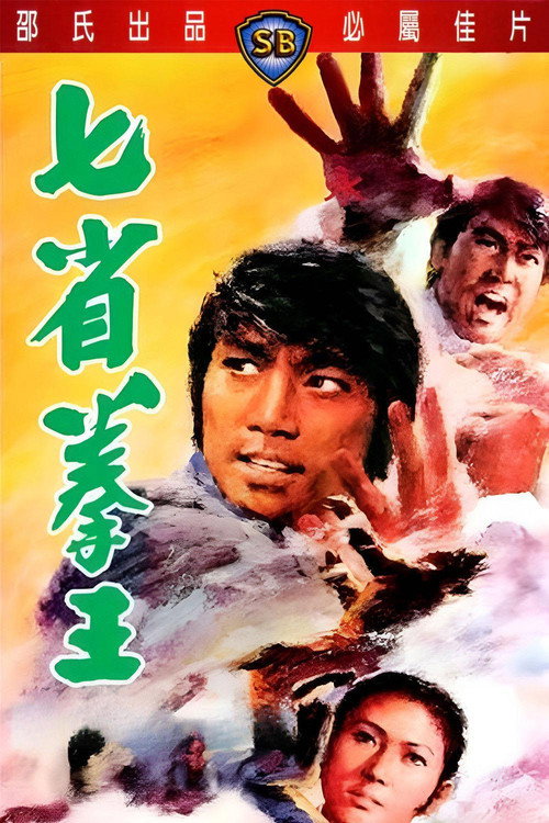 七省拳王电影海报