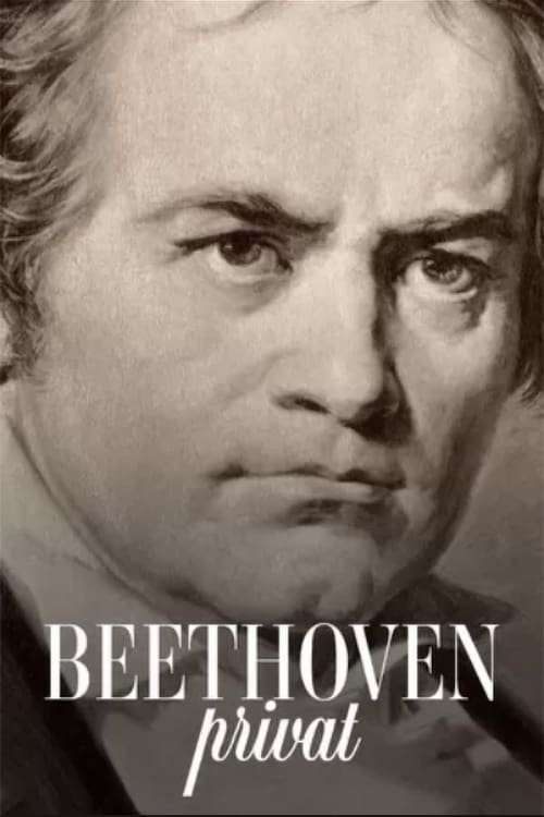 Beethoven+privat