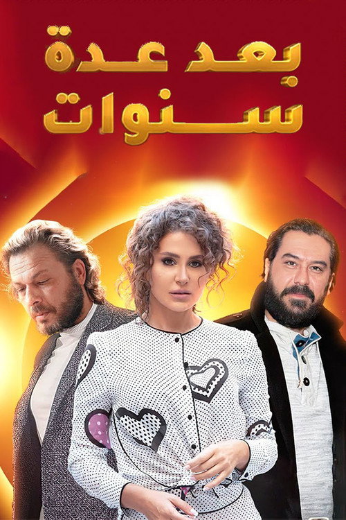 بعد عدة سنوات电影海报