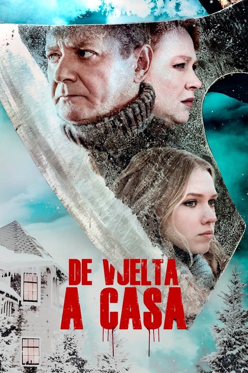 Poster of De vuelta a casa