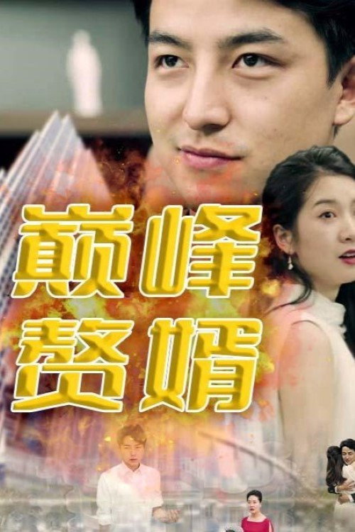 巅峰赘婿电影海报