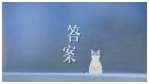 banner card