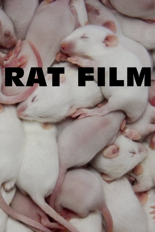 Rat Film (2016) PelículA CompletA 1080p en LATINO espanol Latino