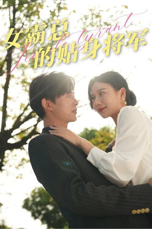 女霸总的贴身将军电影海报