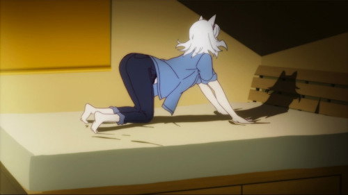Tsubasa Tiger, Part Five