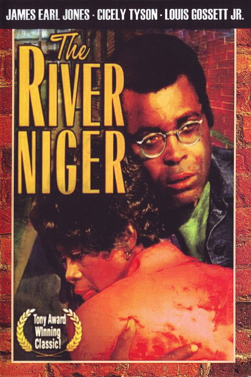 The River Niger poster 3