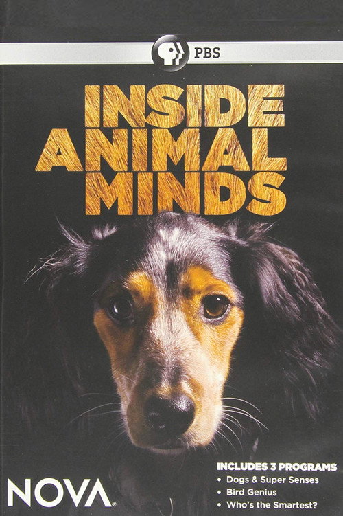 Inside Animal Minds poster 2