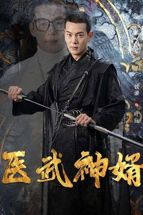 医武神婿电影海报