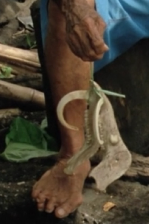 There Is a Happy Land Further Awaay 2015