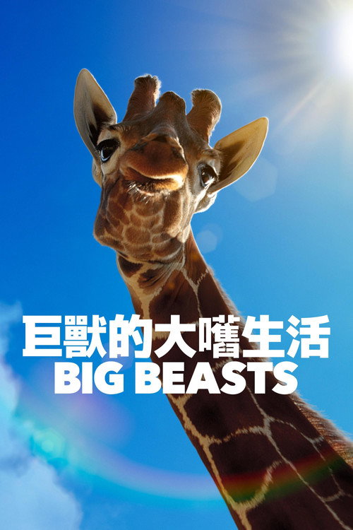 Big Beasts电影海报