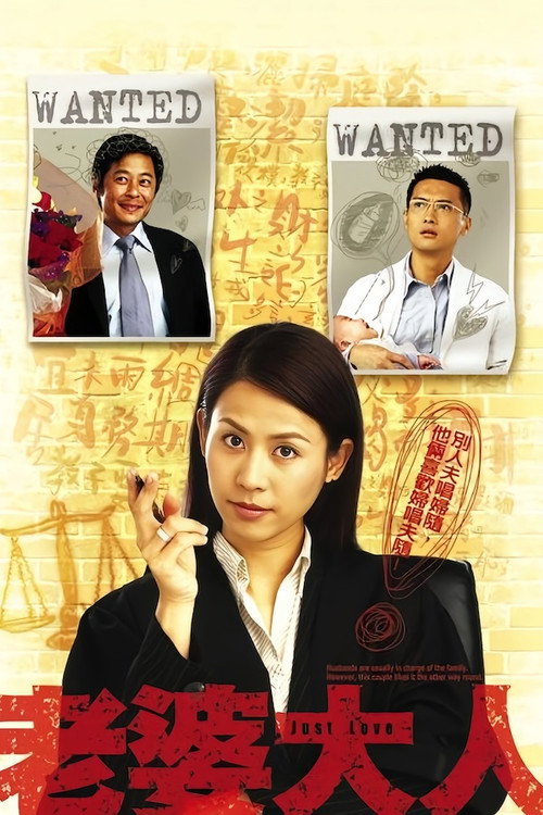 老婆大人电影海报