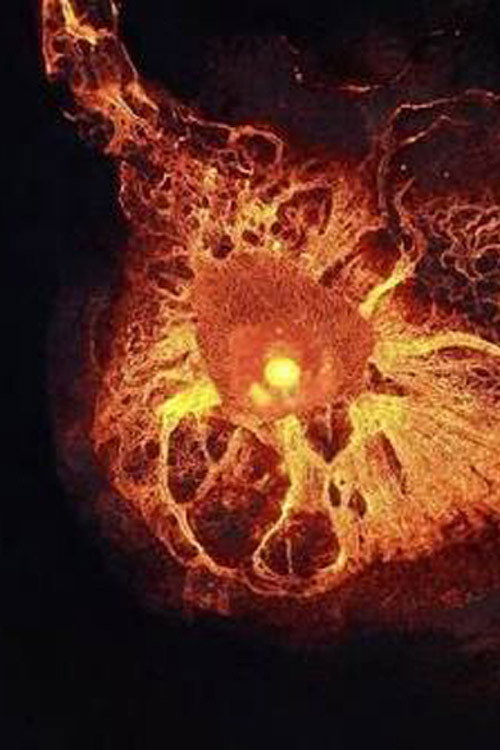 Earendel's poster
