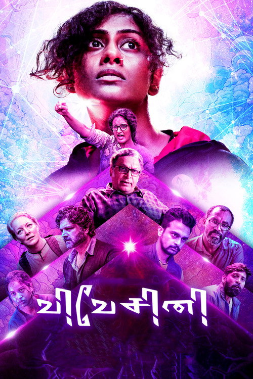 Vivesini poster 2