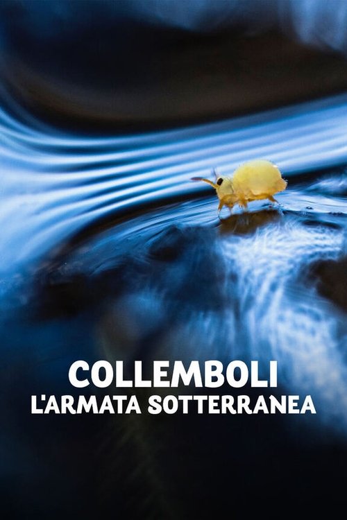 Collemboli - L'armata sotterranea