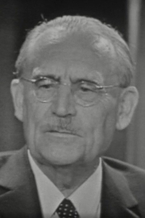 Thuis bij Dr. W. Drees Poster