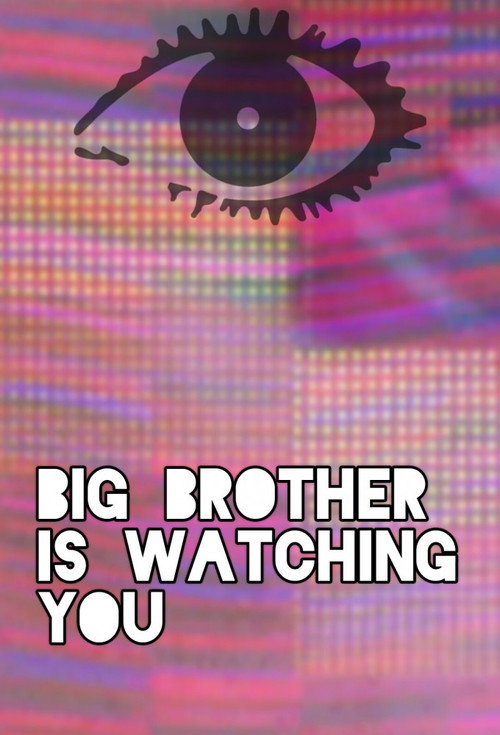 Big Brother Rebooted电影海报