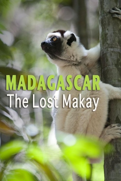 Madagascar%3A+The+Lost+Makay