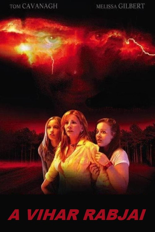 Heart of the Storm poster 2
