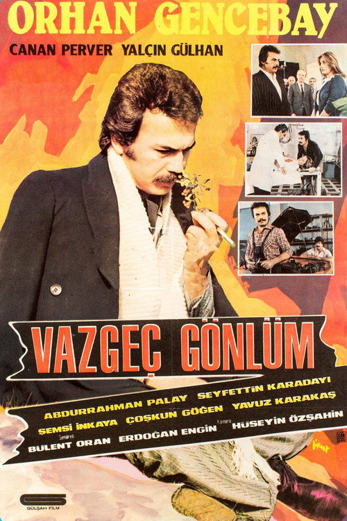 Vazgeç Gönlüm poster 2