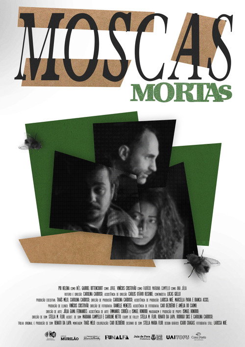 Dead Flies poster 2