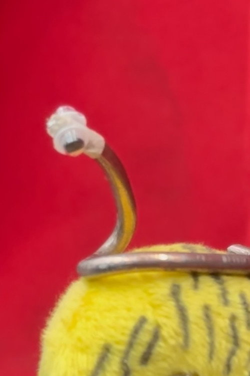 de worm